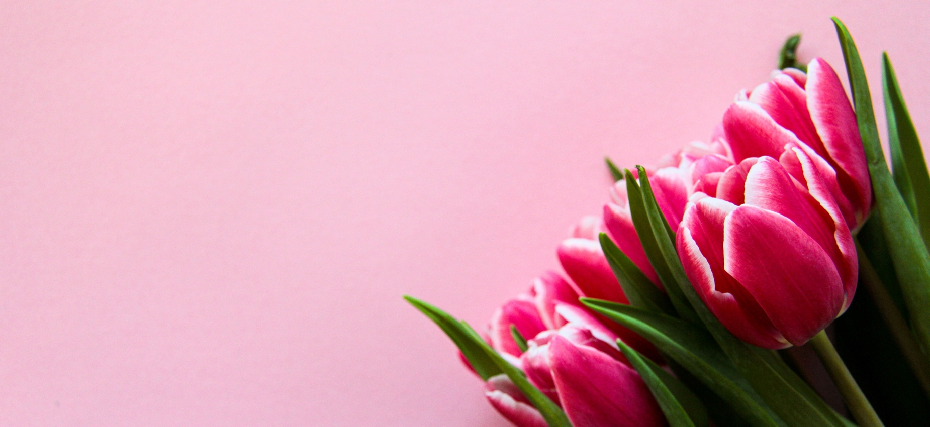 Send Flowers to Antalya
